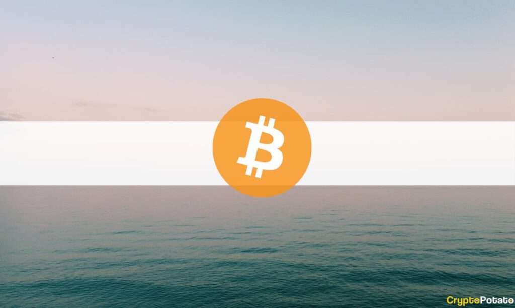 Get your cryptocurrency news & events at cryptogeni.us! Image used for post: Bitcoin's Balancing Act: Short-Term Holders and Market Pressure