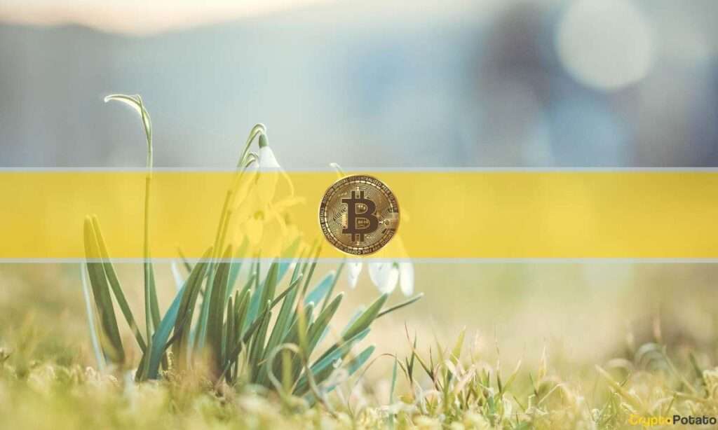 Get your cryptocurrency news & events at cryptogeni.us! Image used for post: Bitcoin Supply Profit Soars as Majority of BTC Becomes Profitable Again