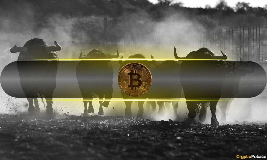 Get your cryptocurrency news & events at cryptogeni.us! Image used for post: A Fresh Perspective on the Current Bitcoin Bull Run Analysis